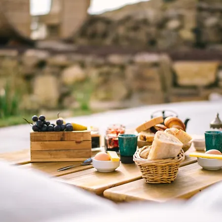 La Grande Oasis - Logements Atypiques