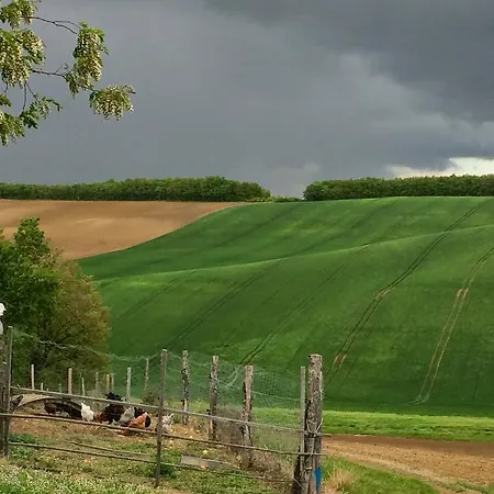 La Grande Oasis - Logements Atypiques Grazac (Tarn)