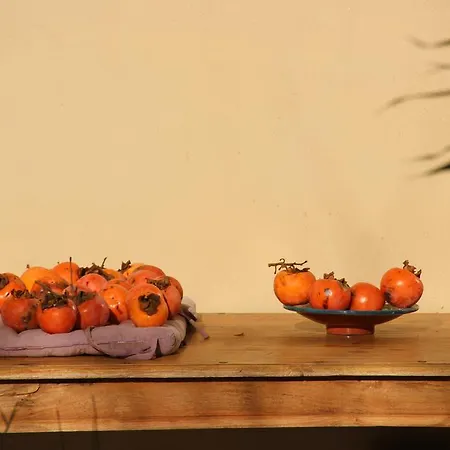 Bed & Breakfast La Grande Oasis - Logements Atypiques