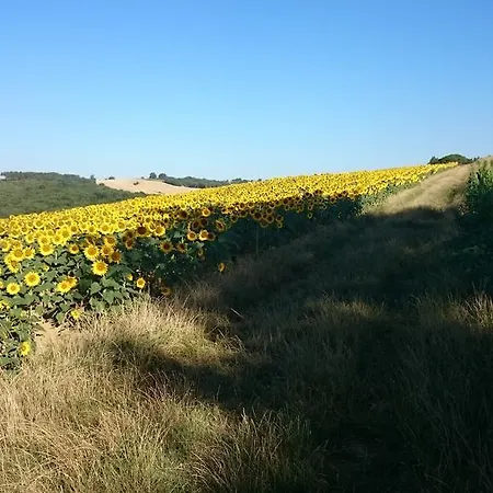 La Grande Oasis - Et Grazac (Tarn)