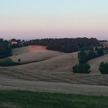 Bed & Breakfast La Grande Oasis - Logements Atypiques Grazac (Tarn)