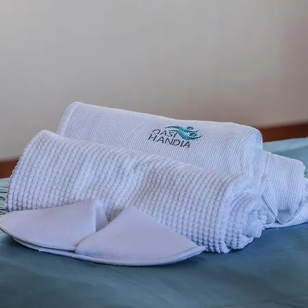 La Grande Oasis - Logements Atypiques Bed & Breakfast